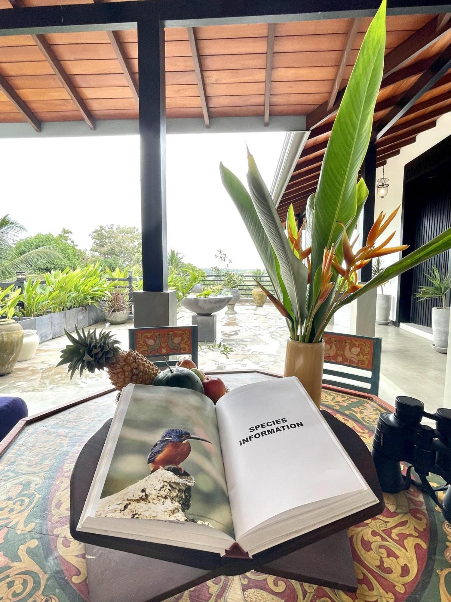 D' Art Villa Retreat And Spa แทนกาลเล ภายนอก รูปภาพ